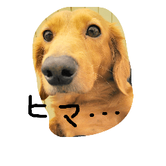 [LINEスタンプ] かわゆいななちゃん2
