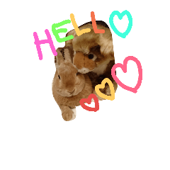 [LINEスタンプ] てぃーくん