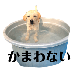 [LINEスタンプ] かまわない きなこスタンプ
