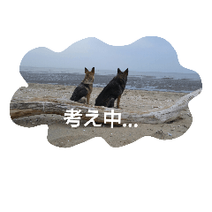 [LINEスタンプ] アニー＆てば