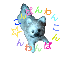 [LINEスタンプ] ちゃなな