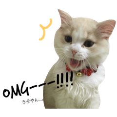 [LINEスタンプ] みるおくん
