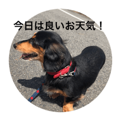 [LINEスタンプ] ターボとハイネ