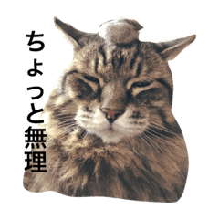 [LINEスタンプ] 我が家のハッピースタンプその二