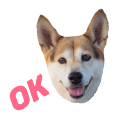 [LINEスタンプ] へんなりお