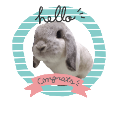 [LINEスタンプ] うさぎのももひめスタンプ