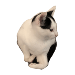 [LINEスタンプ] まる たろ こてつ だやん