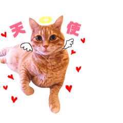 [LINEスタンプ] チロちゃんその3
