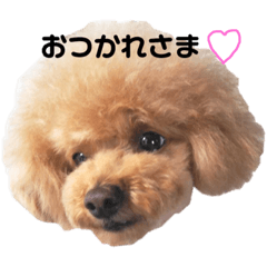 [LINEスタンプ] チューちゃんスタンプ