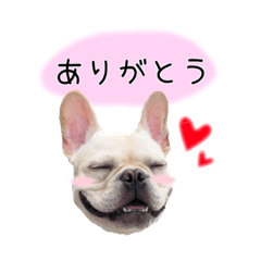 [LINEスタンプ] 第2弾 フレブル こまる スタンプ