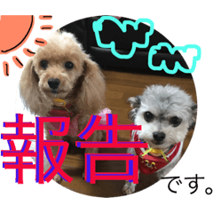 [LINEスタンプ] きなことセバスチャン