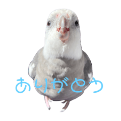 [LINEスタンプ] ラックゴンビィ