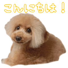 [LINEスタンプ] なま＆むぎ2