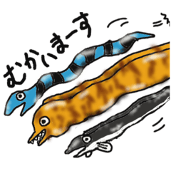 [LINEスタンプ] 水のいきもの(ウから始まるニョロニョロ)