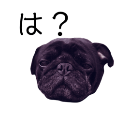 [LINEスタンプ] やる気のないはるちゃん