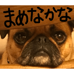 [LINEスタンプ] 我が家のちび太 飛騨弁Ver.