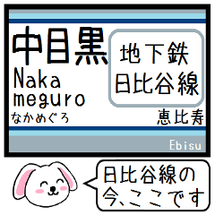 [LINEスタンプ] メトロ日比谷線 いまこの駅だよ！タレミー