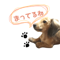 [LINEスタンプ] うちのキャップ