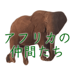 [LINEスタンプ] アフリカの仲間たち