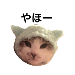 [LINEスタンプ] むった その2