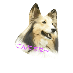 [LINEスタンプ] かわいいうちの子