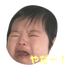 [LINEスタンプ] ゆづキングの写真スタンプ
