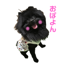 [LINEスタンプ] ガブリエルの日常スタンプ