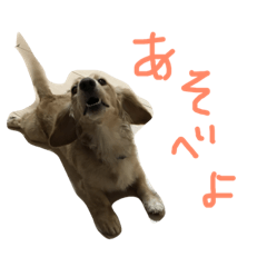 [LINEスタンプ] きょうのりおた