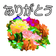 [LINEスタンプ] ビビッドな花達