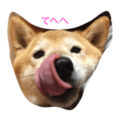 [LINEスタンプ] 愛犬 リッキー