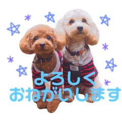 [LINEスタンプ] こてつとぽっけといと