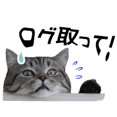 [LINEスタンプ] ITエンジニアの会話