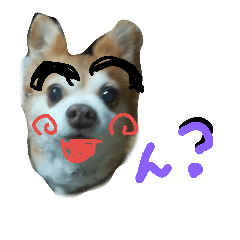 [LINEスタンプ] 犬たろちゃん2