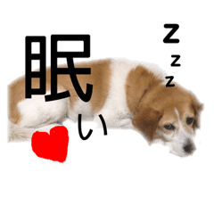 [LINEスタンプ] 可愛いチョロちゃんスタンプ
