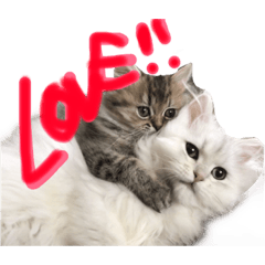 [LINEスタンプ] しらすとじゃこでございます。