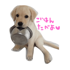 [LINEスタンプ] オリバーとその仲間たち
