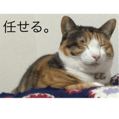 [LINEスタンプ] ガジラ6