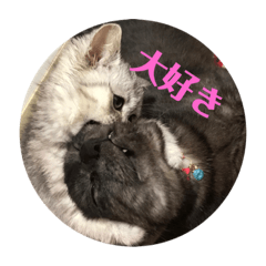 [LINEスタンプ] ひめごま