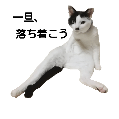 [LINEスタンプ] LimeLife2