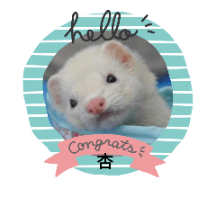 [LINEスタンプ] らいあんふれんず