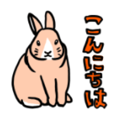 [LINEスタンプ] もふもふうさぎすき