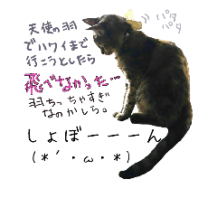 [LINEスタンプ] さくら三昧・いい女のつもり編