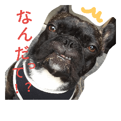 [LINEスタンプ] さにたん