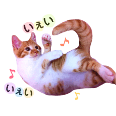[LINEスタンプ] 茶トラ猫つめあわせ