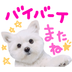 [LINEスタンプ] 仔犬のるるちゃん 2