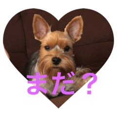 [LINEスタンプ] テトタロ