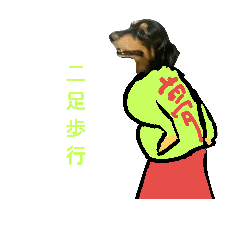 [LINEスタンプ] 愛犬デュオ