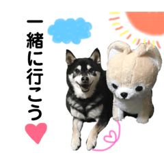[LINEスタンプ] 黒柴りき6