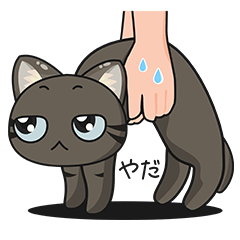 [LINEスタンプ] This is a cat[JP]の画像（メイン）