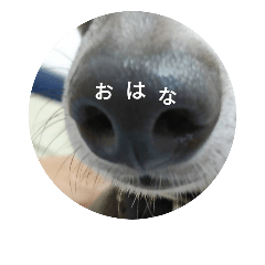 [LINEスタンプ] アズ＆クロの日常☺